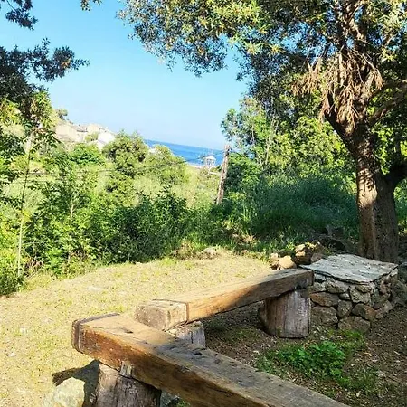 Cap Corse Dans Un Nid De Verdure בית נופש San-Martino-di-Lota