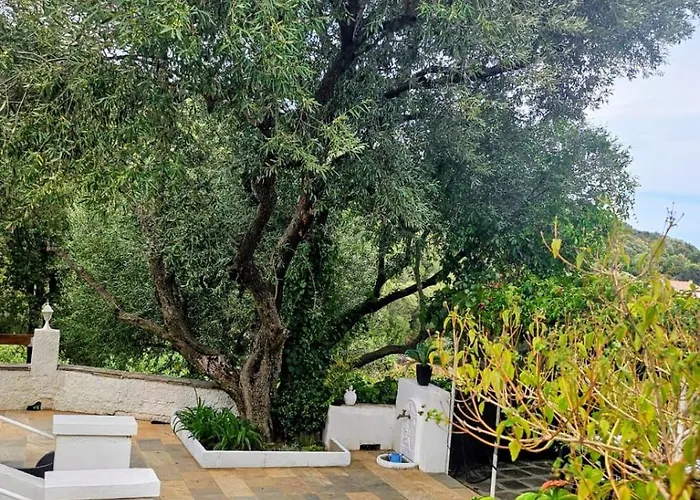 Cap Corse Dans Un Nid De Verdure Holiday home