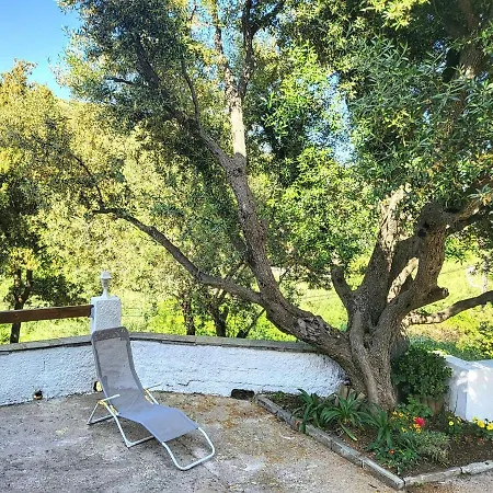 Holiday home Cap Corse Dans Un Nid De Verdure San-Martino-di-Lota