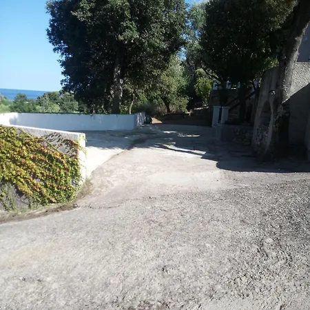 Cap Corse Dans Un Nid De Verdure *