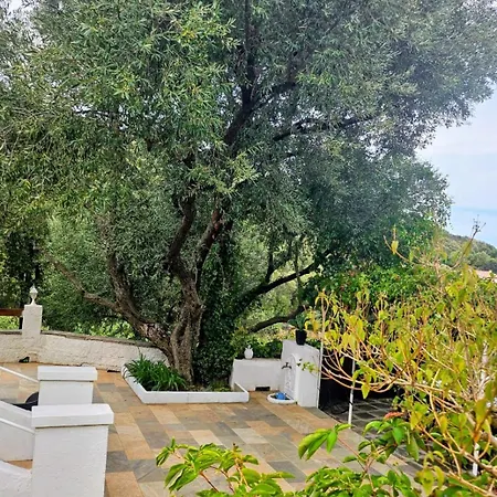 Cap Corse Dans Un Nid De Verdure Ferienhaus