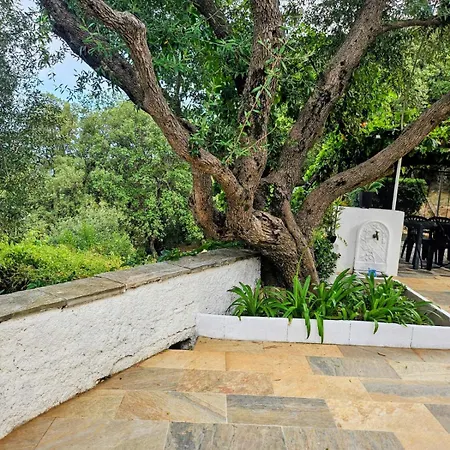 Cap Corse Dans Un Nid De Verdure Ferienhaus San-Martino-di-Lota