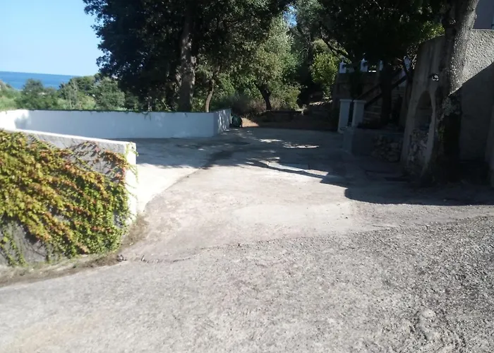 Cap Corse Dans Un Nid De Verdure *