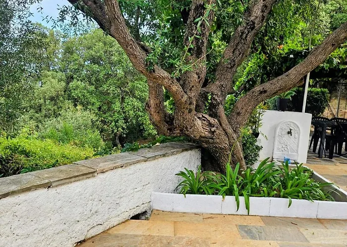 Cap Corse Dans Un Nid De Verdure Ferienhaus San-Martino-di-Lota